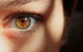 Image result for Dark Grey Hazel Eyes