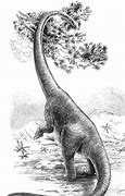 Image result for Dinosaurs Herbivor