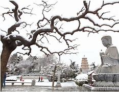 Image result for Xian Snow Scenery