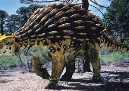 Image result for Ankylosaurus WWD