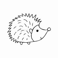 Image result for White Baby Hedgehog