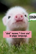 Image result for Cute Pig Sayings