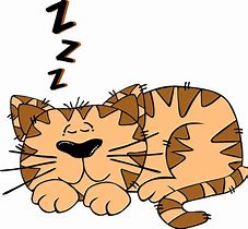 Image result for A Cat Sleeping Cartoon