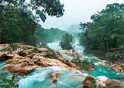 Image result for Paisajes De Chiapas