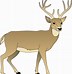 Image result for Deer Broadside Stencil Images