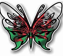 Image result for Welsh Flag Butterfly Car Stickers