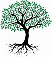 Image result for Tree of Life with Roots Clip Art