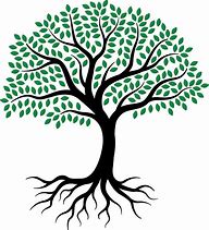 Image result for Black and White Tree with Roots