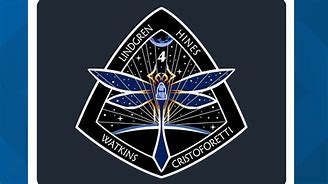 Image result for Wb58 NASA Patch