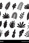 Image result for Round Leaf Vector Free