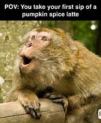 Image result for No Pumpkin Spice Meme