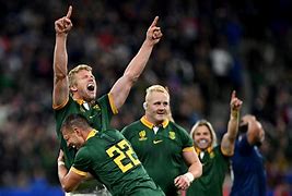 Image result for South African Rugby World Cup Squad