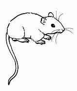 Image result for Outline Rat Trap