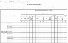 Image result for Blank EEO 1 Form