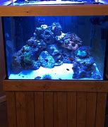 Image result for 150 Gallon Aquarium