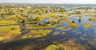 Image result for Okavango Delta Botswana Windows Background