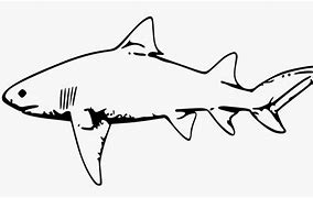 Image result for Shark with Headphones Black and White