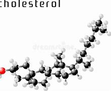 Image result for Cholesterol Molecule with Hydrogen