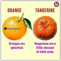 Image result for Orange Tangerine Hybrid