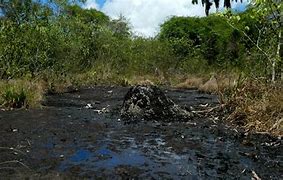 Image result for Alien Tar Pits