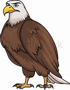 Image result for The Bald Eagle Meme