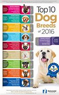 Image result for Top 10 Dog Breeds AKC