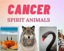 Image result for Spirit Animals for Zodiac Signs