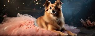 Image result for Fairy Tale Dog