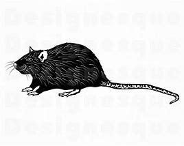 Image result for Rat Hanging SVG