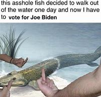 Image result for Vote Blue Memes