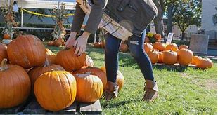 Image result for Newport Rhode Island Fall