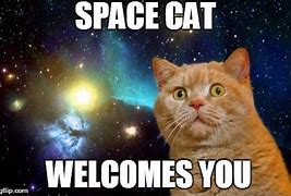 Image result for Outer Space Cat Meme