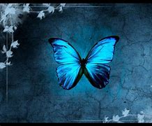 Image result for Butterfly Wallpaper Blue Desktop Computer