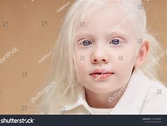 Image result for Albino Baby Walrus