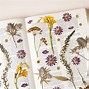 Image result for Dried Flower Art