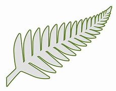 Image result for New Zealand Fern Clip Art