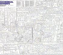 Image result for Cell Pathways Chart