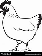 Image result for Ta Da Chicken Graphic Design