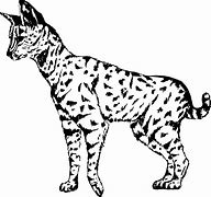 Image result for Serval Cat Side View