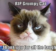 Image result for Grumpy Boss's