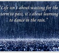 Image result for Cat Rain Quote