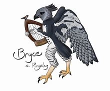 Image result for Dnd Birds