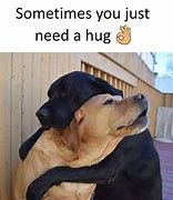 Image result for cute hug meme animals