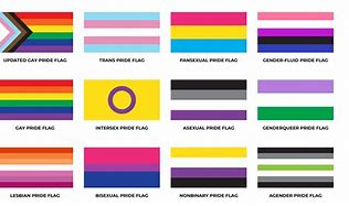 Image result for 13 LGBTQ Flags