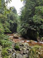 Image result for Curug Ratu Bogor