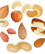 Image result for Free Clip Art No Nuts