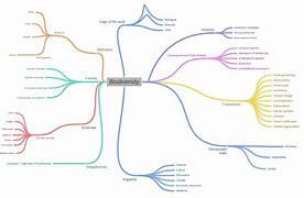 Image result for Biodiversity Diagram