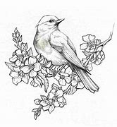 Image result for Pencil Bird Drawings Simple