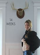 Image result for 14 Weeks and 4 Days Pregnant