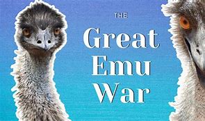 Image result for Great Emu War for Kids